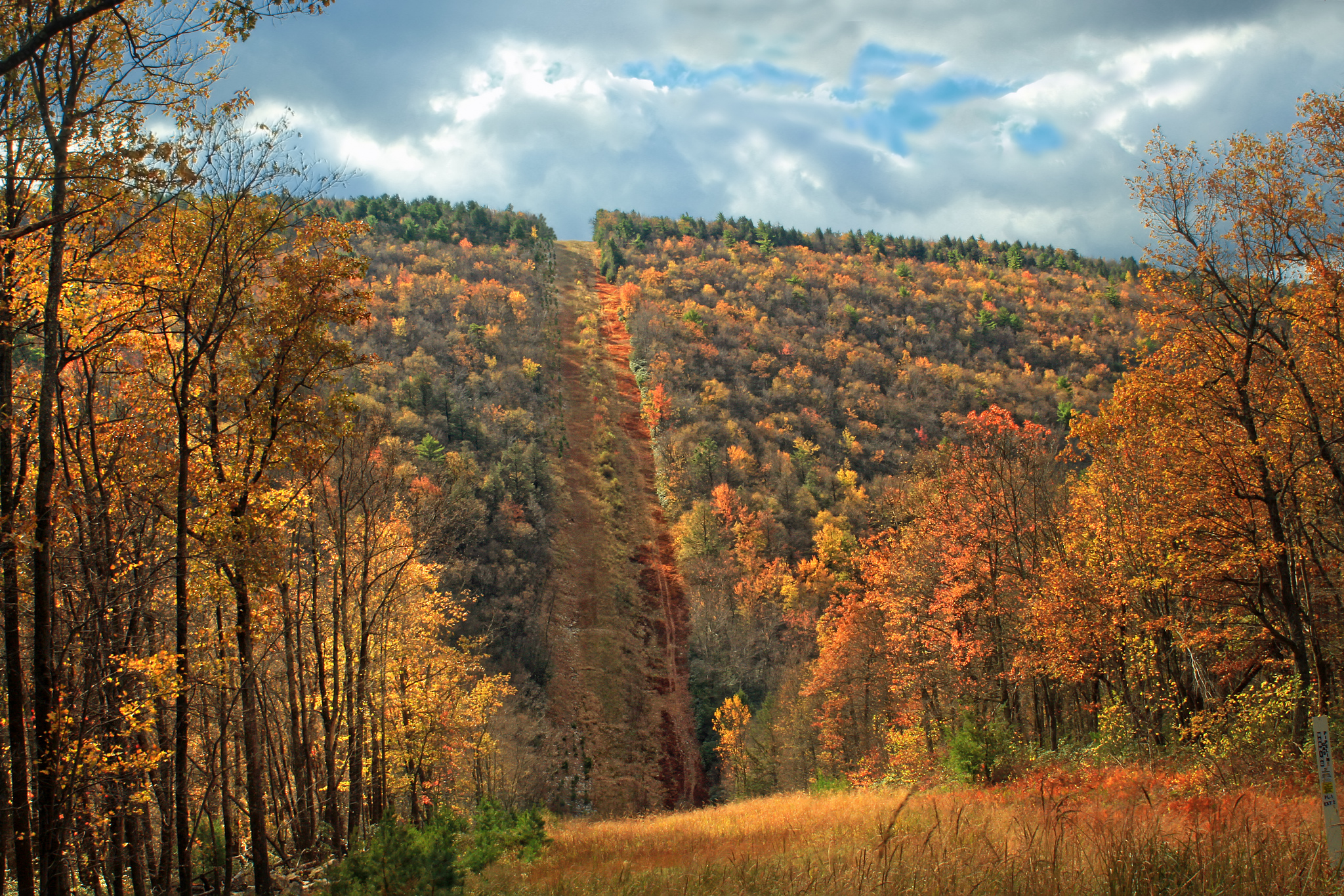 South view of a pipeline swath forming the eastern boundary of the Detweiler Run Natural Area, Centre County–Huntingdon County line, within Rothrock State Forest. Photo: Nicholas A. Tonelli via Flickr