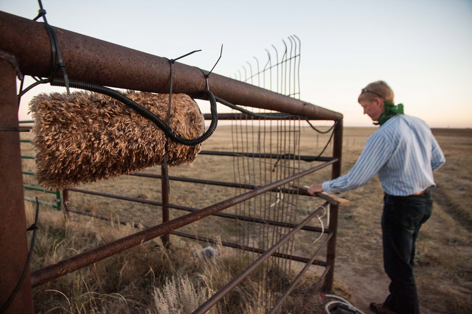 Kurt Fristrup repairs a damaged recording system on a cattle pen in Colorado’s Pawnee National Grassland. Photo: Kerry Klein