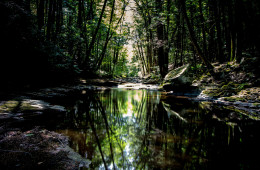 The view at Dingmans Falls in eastern Pennsylvania. Photo: Jim Lukach via Flickr