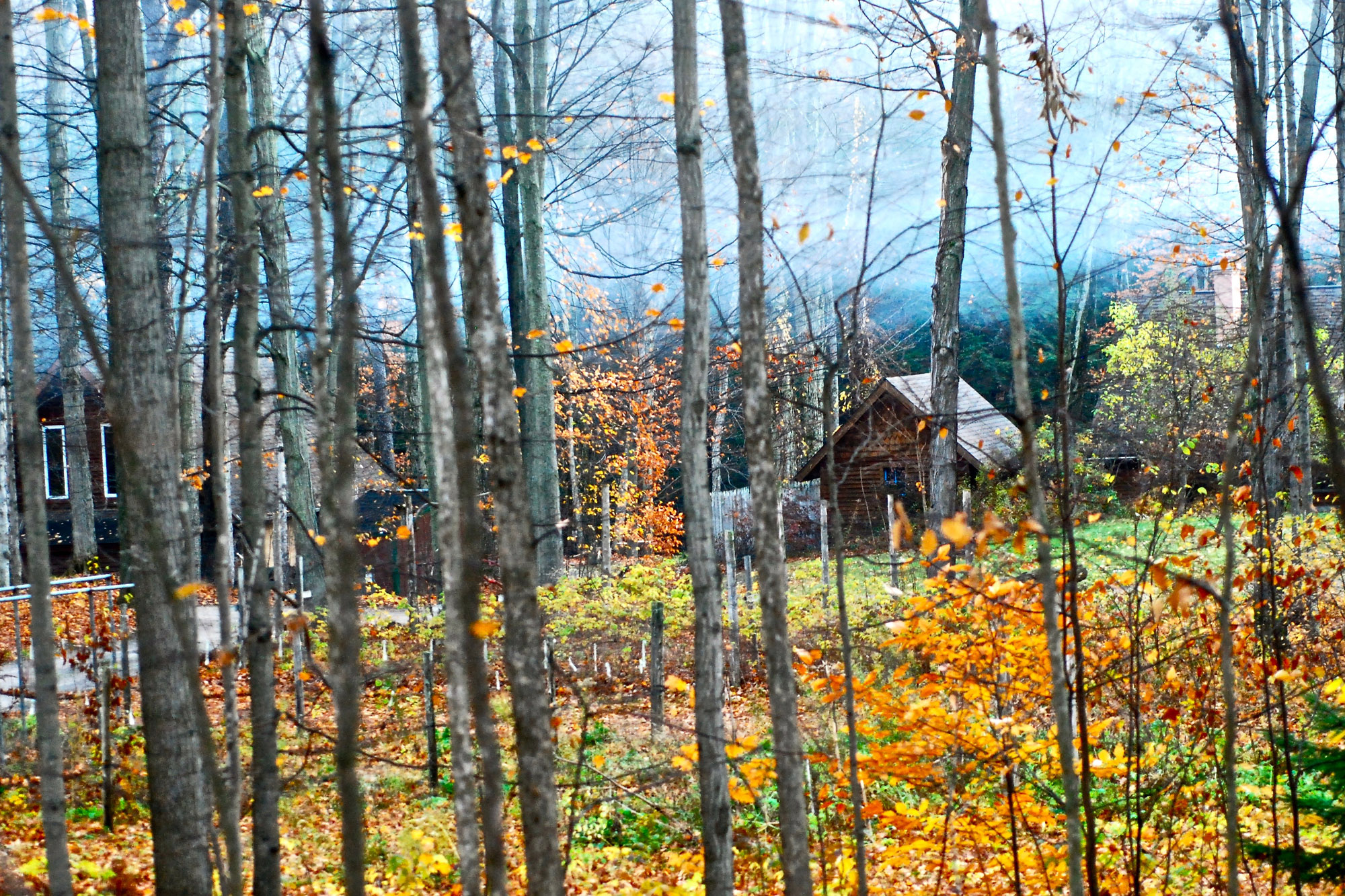 Writer and photographer Debra Lynn Hook spent two and a half weeks in a rustic cabin on 200 acres of Michigan forestland. Photo: Debra Lynn Hook