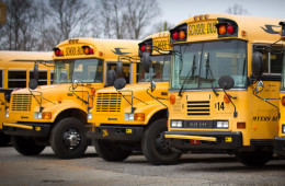 Yellow School buses