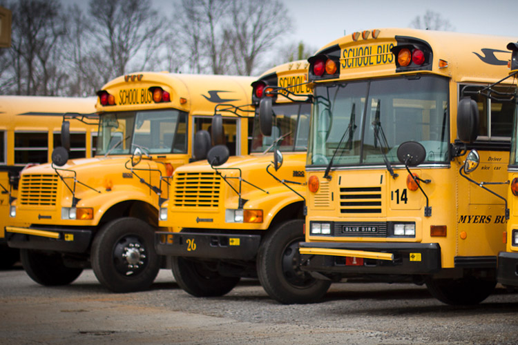 Yellow School buses