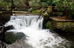 dam on Bear Run