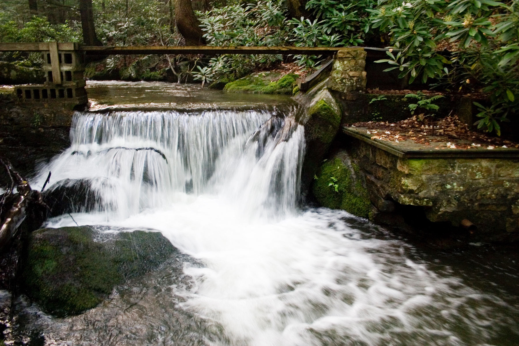 dam on Bear Run