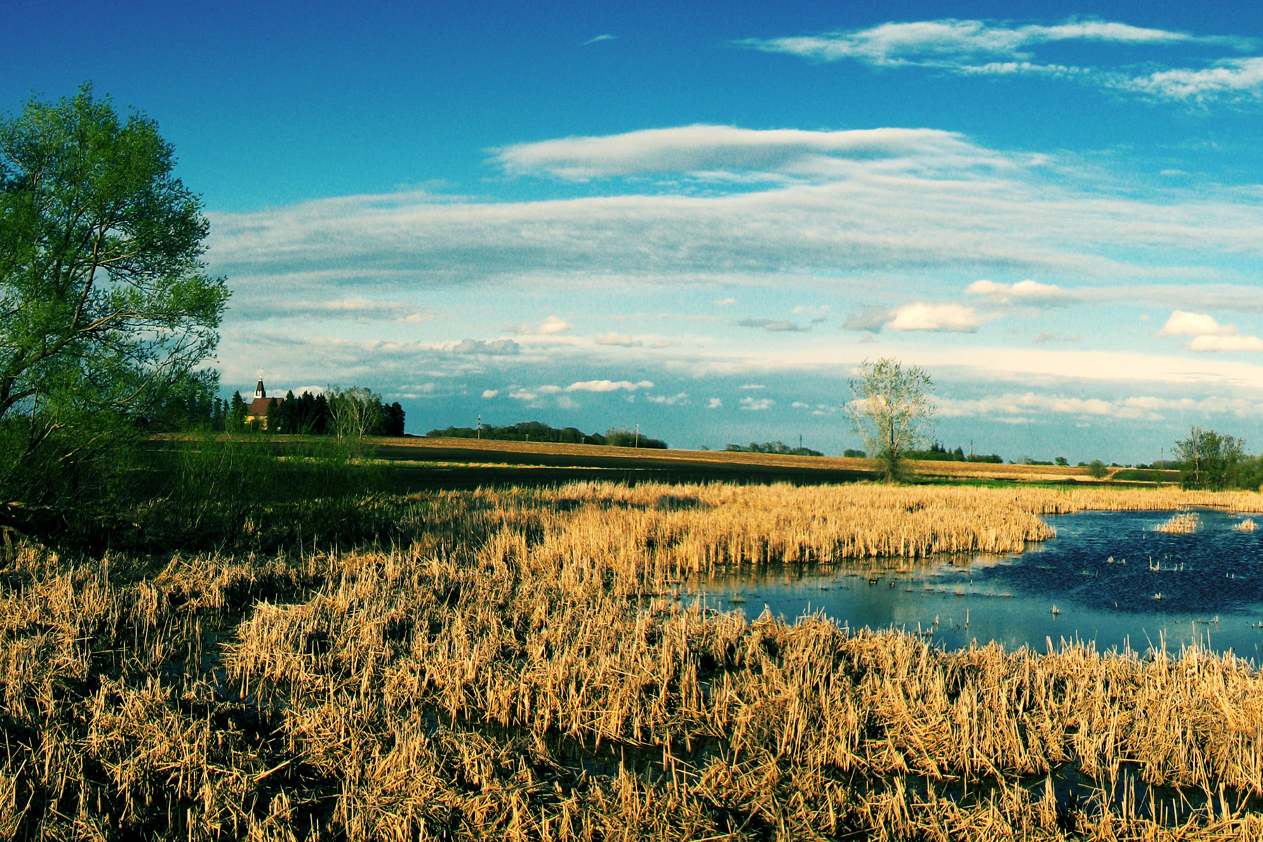 wetland