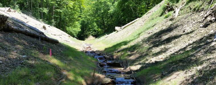 Stream restoration work