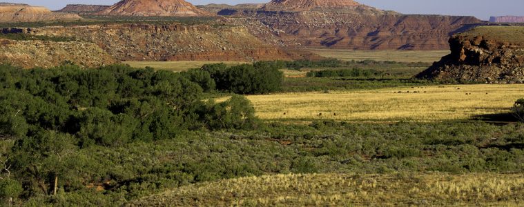 Bears Ears National Monument