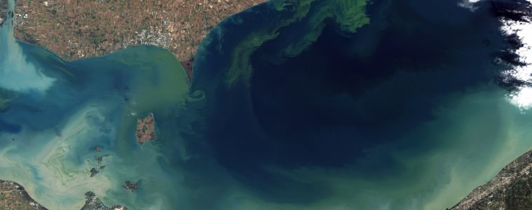 Lake Erie Algae