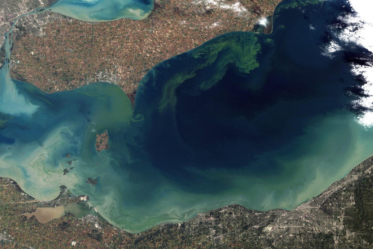 Lake Erie Algae