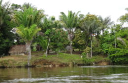 Suriname River