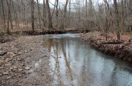 A stream inside Ryerson Station State Park; Photo: Reid R. Frazier