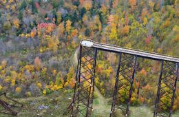 Kinzua Bridge State Park