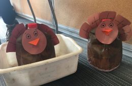 sandbag turkeys
