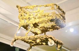 Zebra mussels encrust this shopping cart