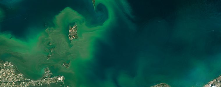 Lake Erie Algae