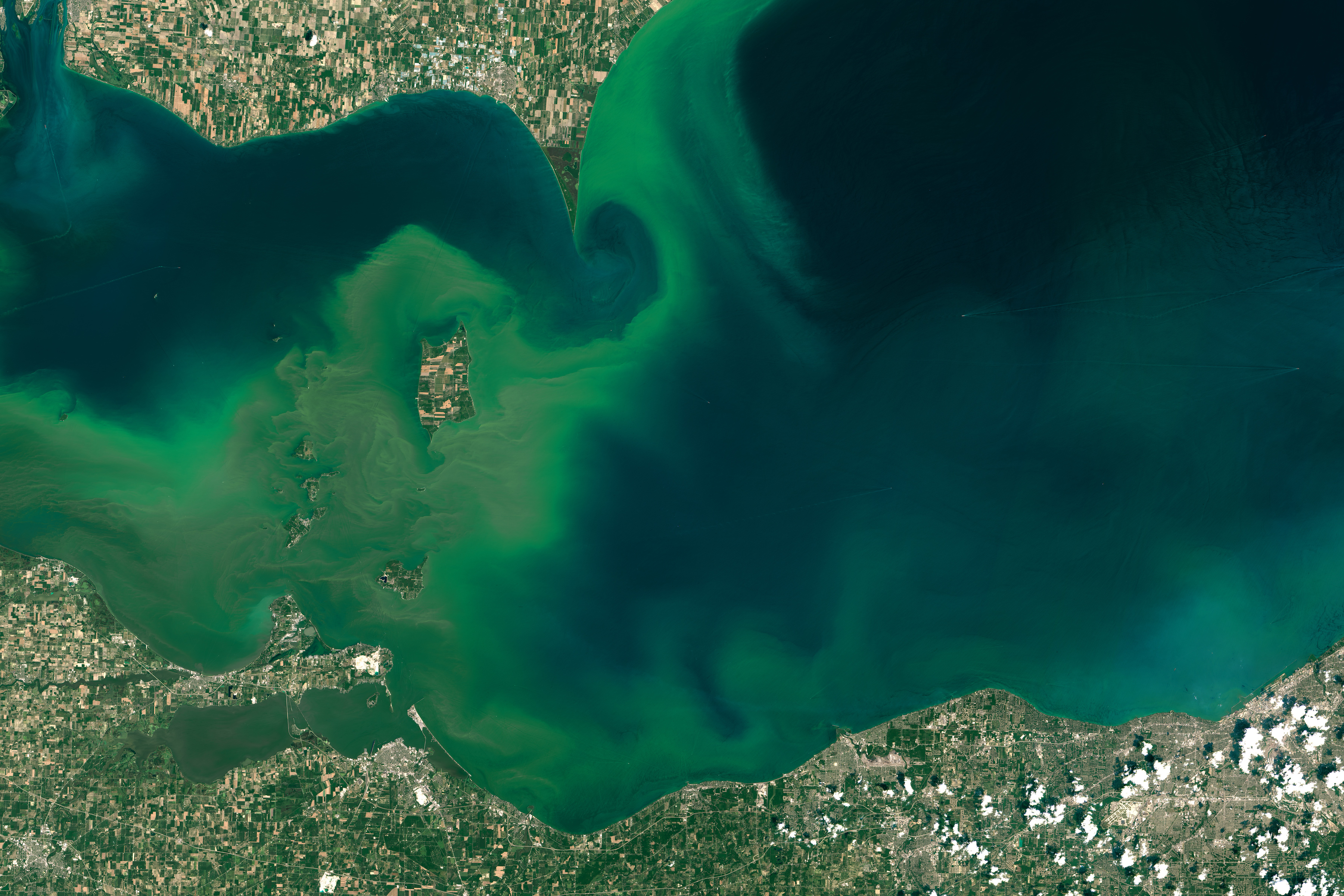 Lake Erie Algae