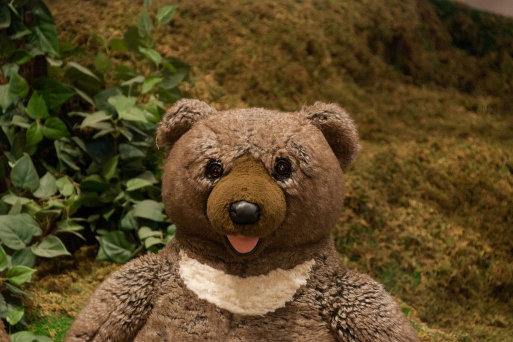 modern teddy bear