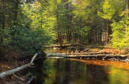 Tunkhannock Creek