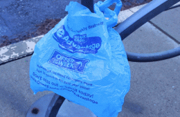 Blue Plastic Grocery Bag