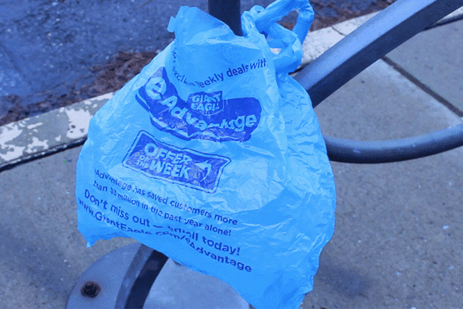 Blue Plastic Grocery Bag