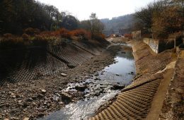 Saw Mill Run