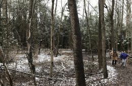 Beechwood Farms