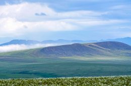 Arctic National Wildlife Reguge
