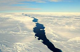 Milne ice shelf