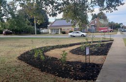 Community Garden