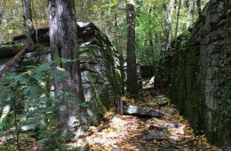 Laurel Highlands Hiking Trail. Photo: Reid R. Frazier