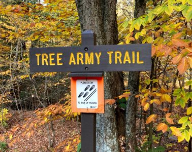 Tree Army Trail sign