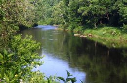 Clarion River