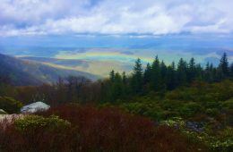 Dolly Sods Wilderness
