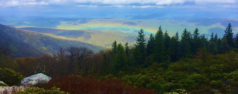 Dolly Sods Wilderness