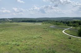 Flight 93 Site