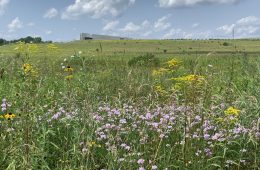 Flight 93 Visitor's Center
