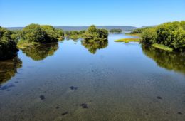 The Susquehanna River