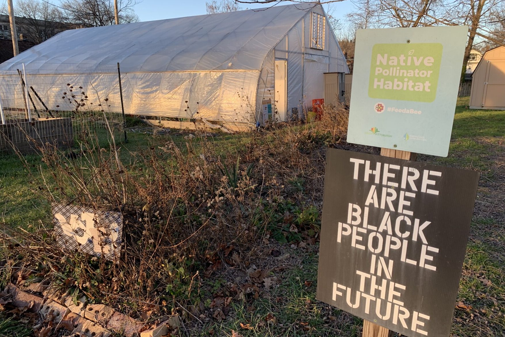 The Black Urban Gardeners and Farmers of Pittsburgh farm