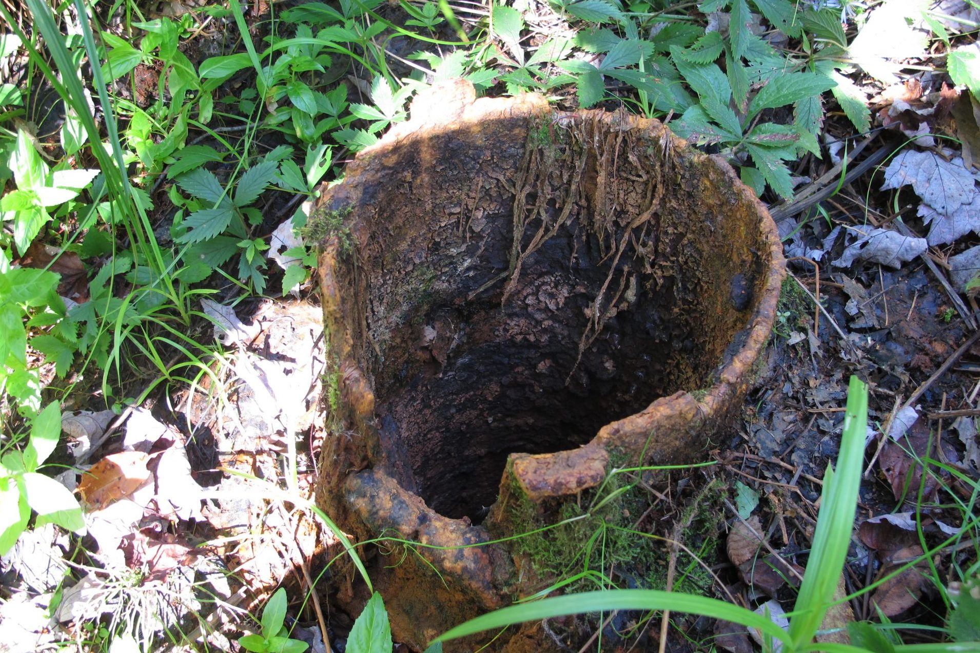 abandoned, unplugged well