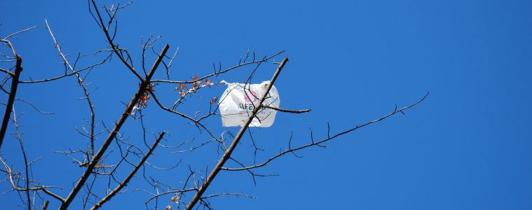 bag in a tree