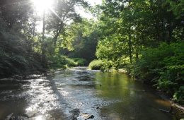 Big Sewickley Creek