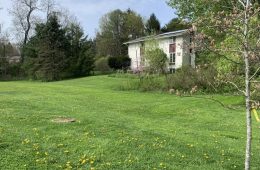 lawn