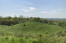 Twin Stupas