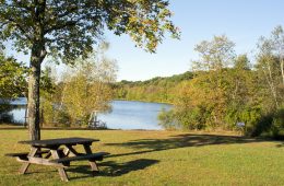 Nescopeck State Park