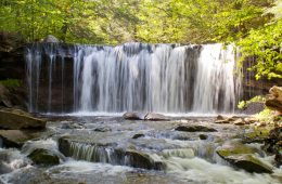 Ricketts Glen State Park