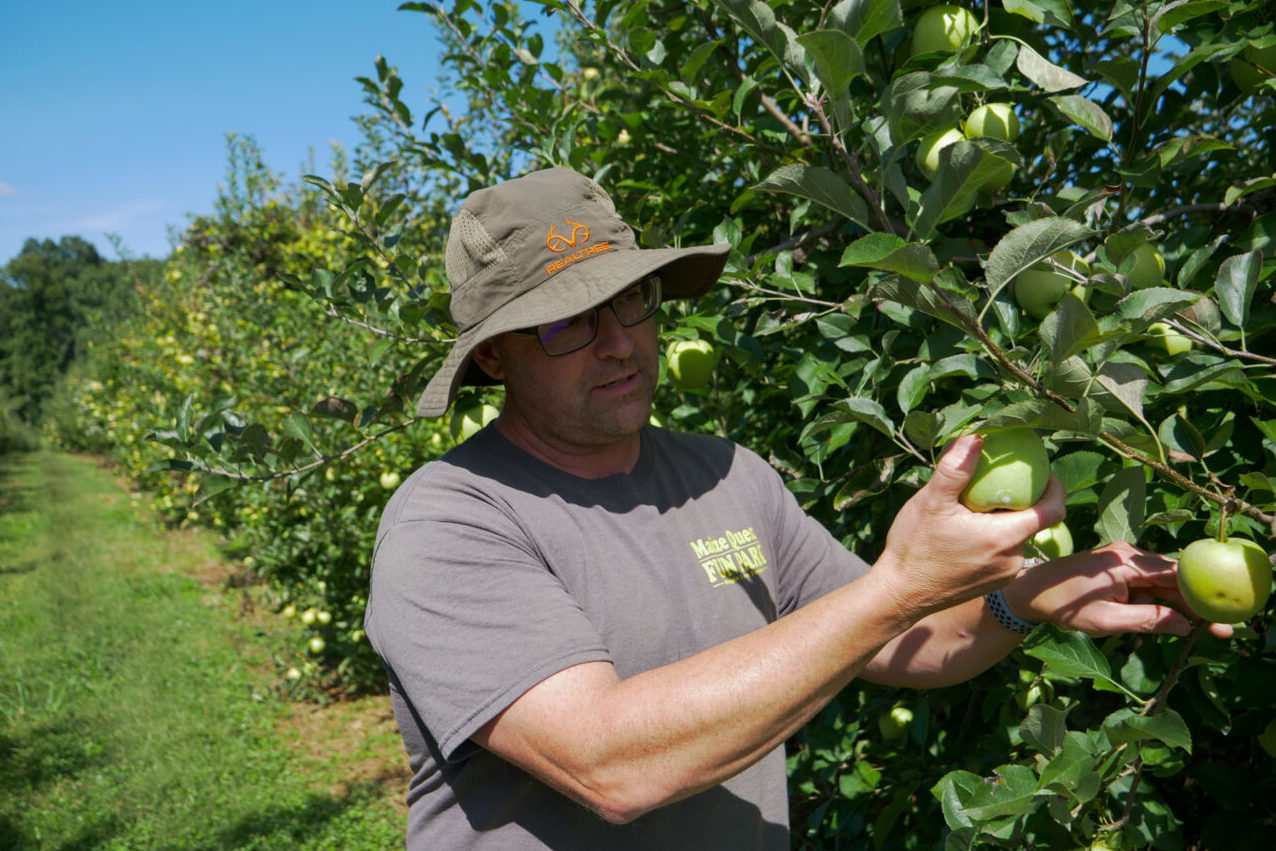 Climate change prompts Pa. farmers to adapt crops, businesses