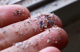 Tiny rainbow microplastic pieces on three fingers