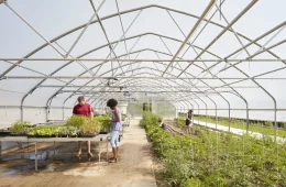 greenhouse at Eden Hall