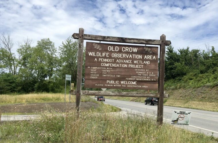 Old Crow Wetland