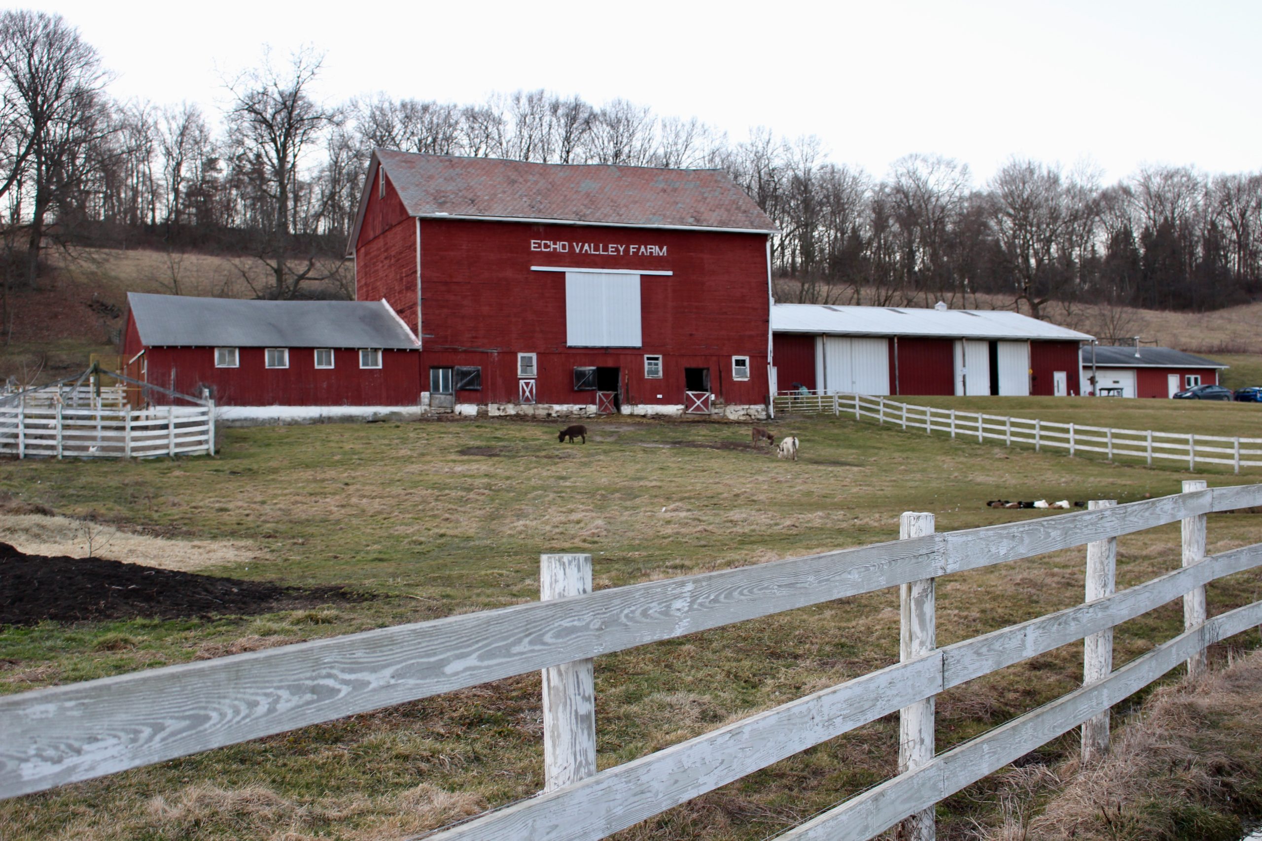 Echo Valley Farm